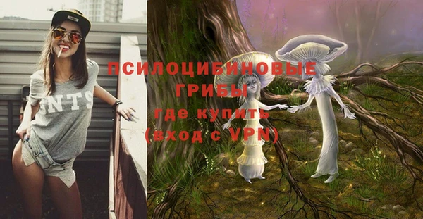 прущая мука Инта