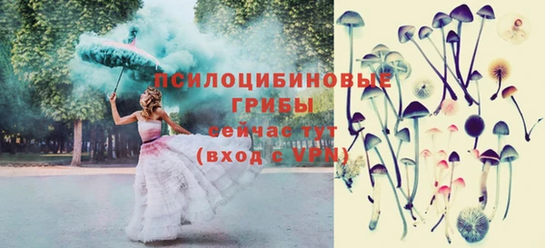 прущая мука Инта