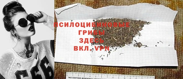 прущая мука Инта