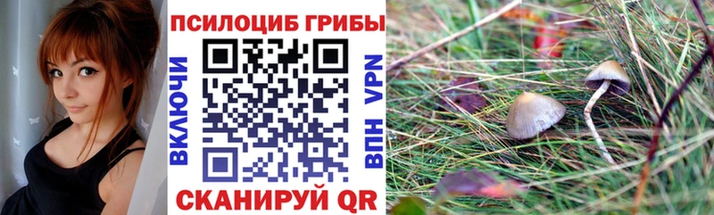 Галлюциногенные грибы GOLDEN TEACHER  где купить наркоту  Артём 